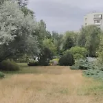 Zielona Wiolinowa *