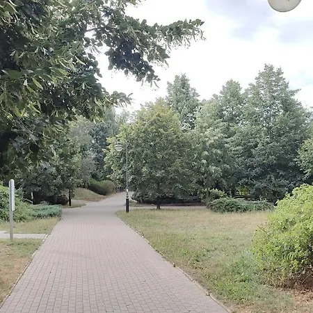 Zielona Wiolinowa * 바르샤바