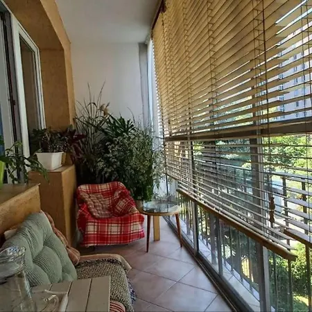 Zielona Wiolinowa Apartment