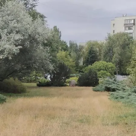Zielona Wiolinowa *