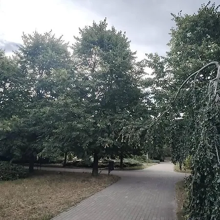 アパート Zielona Wiolinowa