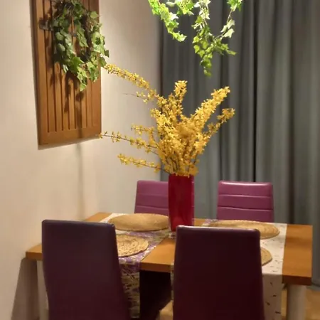 Zielona Wiolinowa Apartmán *