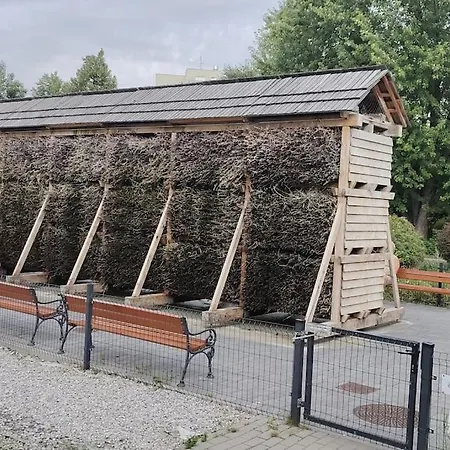 Zielona Wiolinowa Lägenhet Warszawa